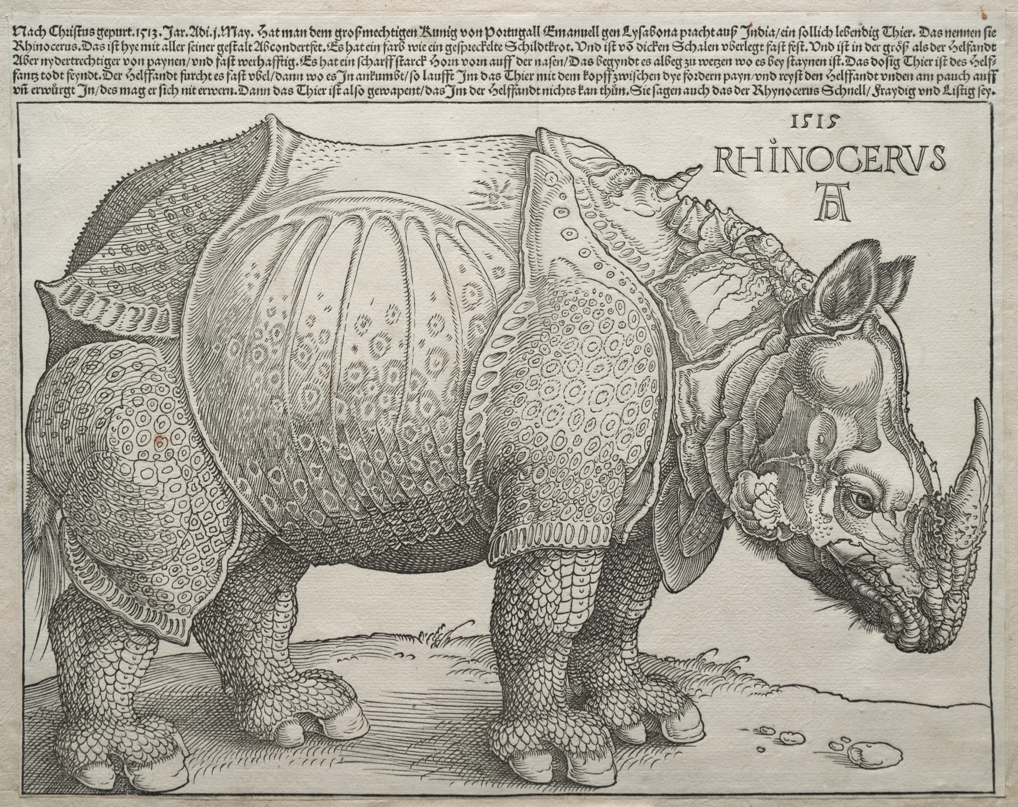 Albrecht Dürer — The Rhinoceros. The Cleveland Museum of Art, CC0.