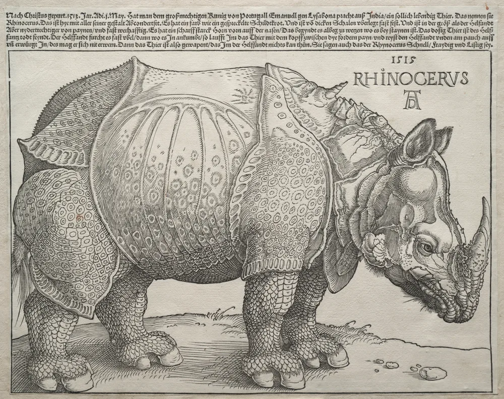 Albrecht Dürer — The Rhinoceros. The Cleveland Museum of Art, CC0.